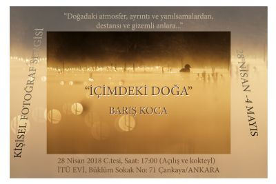 İçimdeki Doğa | Resim Sergisi